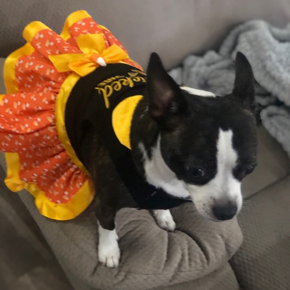 Meet the Posher - Picture 5 of 8